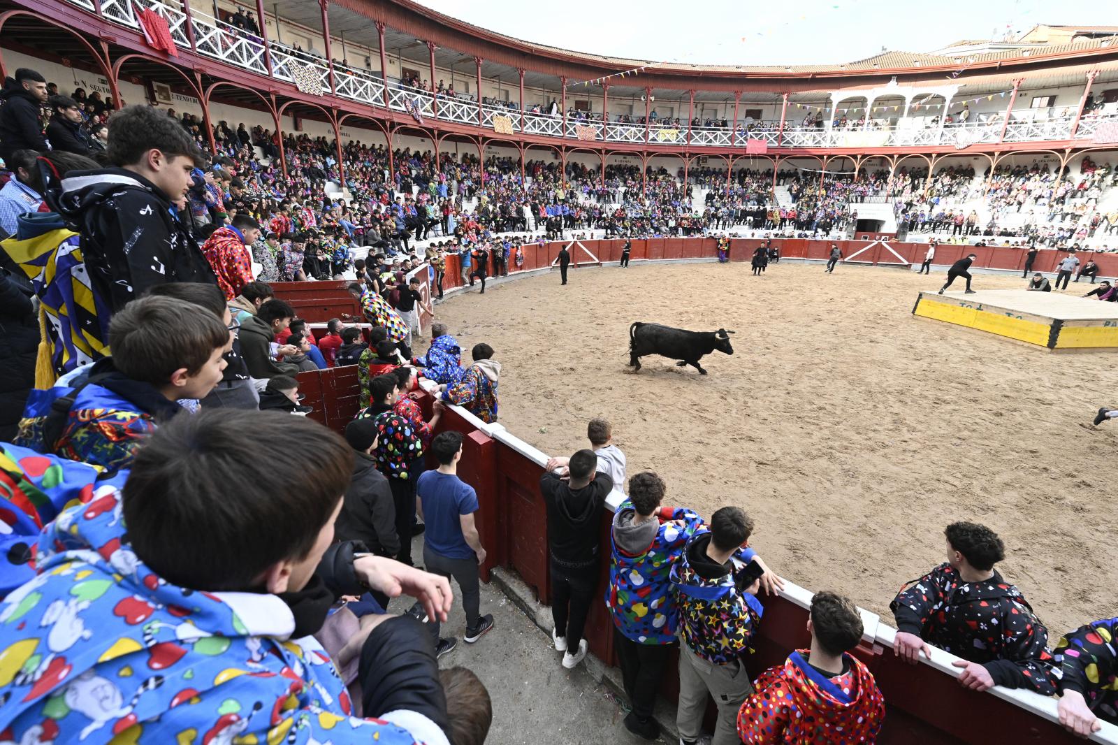 No faltaron las vaquillas en Tolosa