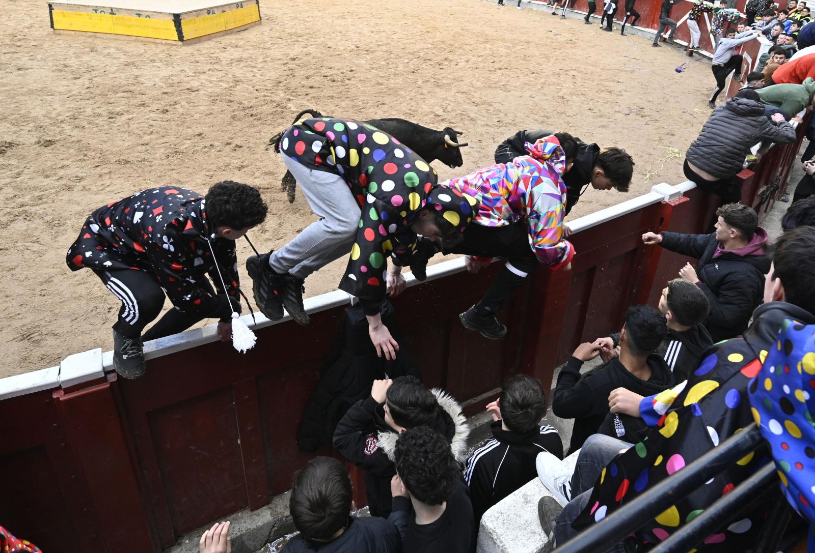 No faltaron las vaquillas en Tolosa