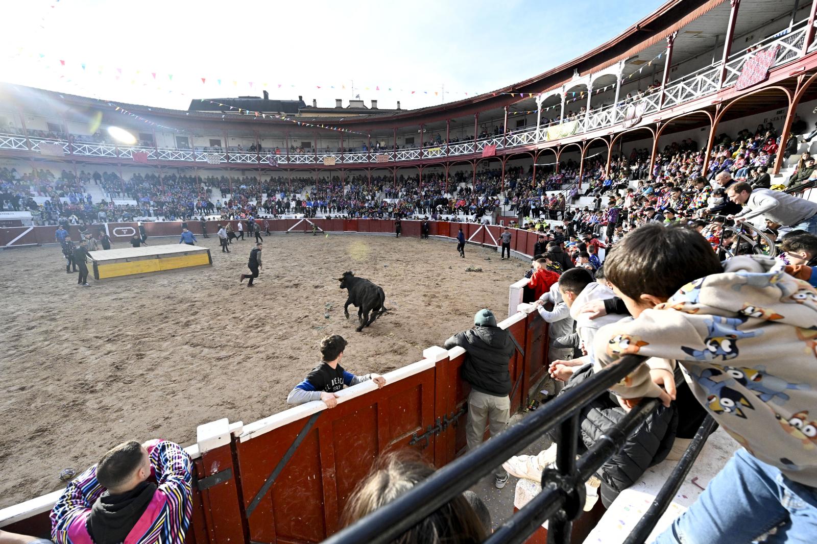 No faltaron las vaquillas en Tolosa