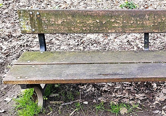 Escribe F. Martínez: «He ido a ver una muestra al aire libre en el parque Martiarena e Iglesias de Amara. El cuadro más bonito está en un banco, en su respaldo exactamente. Su autor es la naturaleza. Tiene líquenes y colores amarillos, grises... La pintura está descascarillada y hay clavos. Una obra de gran valor. Escribo para que este Ayuntamiento tan celoso con las obras de arte organice un circuito para ver esta maravilla».