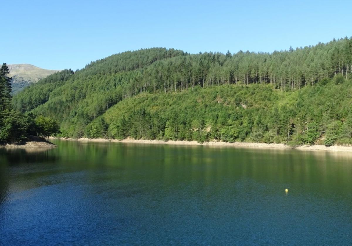 Barrendiola espera este domingo a 210 'padrinos' de árboles Quercus Petrae