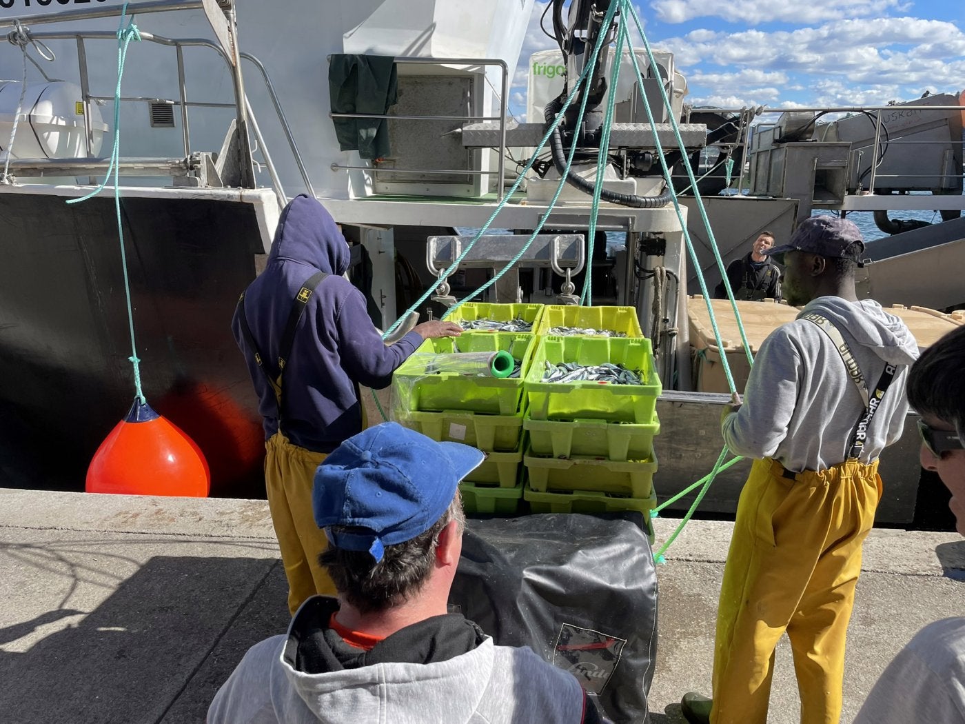 Primeras descargas de anchoa de barcos guipuzcoanos en el inicio de la costera