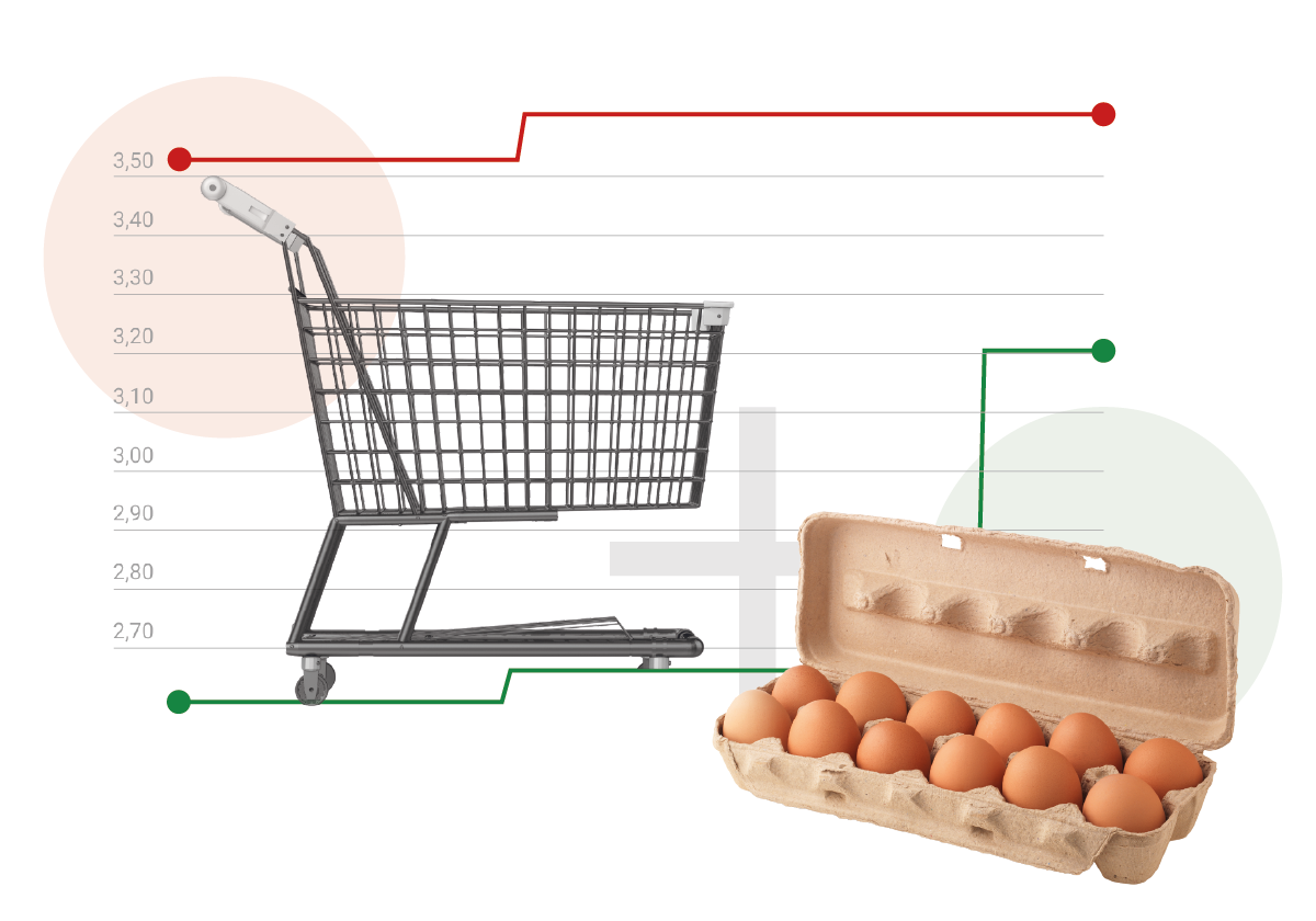 La crisis del huevo llega a Gipuzkoa y su precio se encarece un 25%