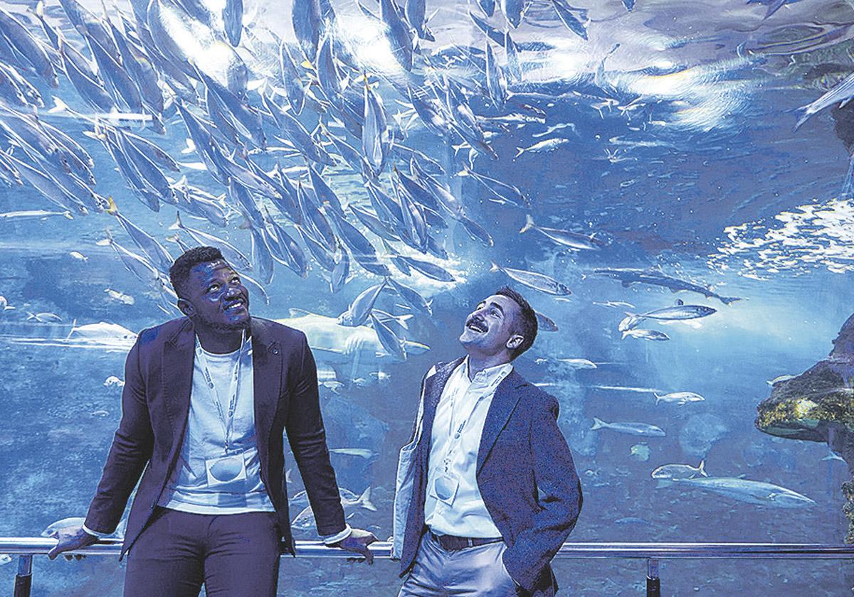 Aquarium