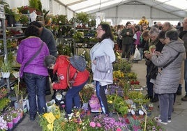 Landare apaingarriak, barazki-landareak eta haziak erosteko aukera izan dute igande honetan Segura.