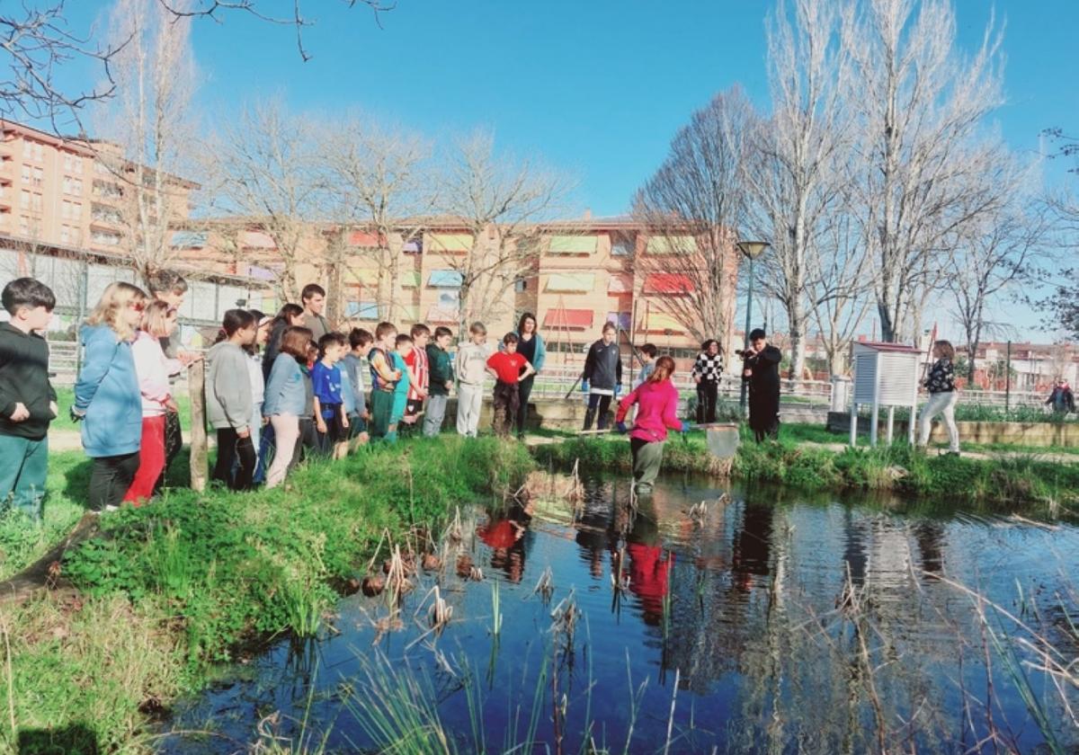 Reconocimiento a Orokieta del Ministerio de Educación