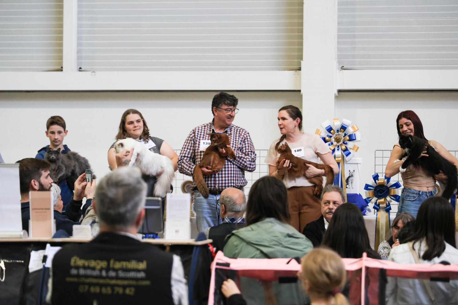 Exposición Internacional Felina en Irun