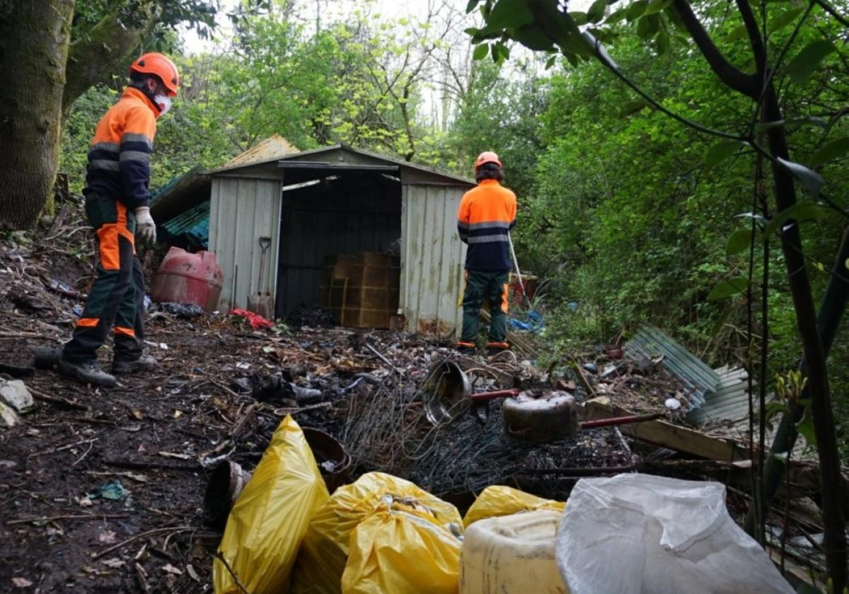 Limpian la zona forestal entre la avenida Jaizkibel y el parque de Altamira