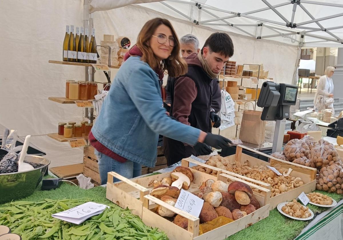 Onddoak ere iritsi dira, gero eta ugariago den zizari laguntzeko