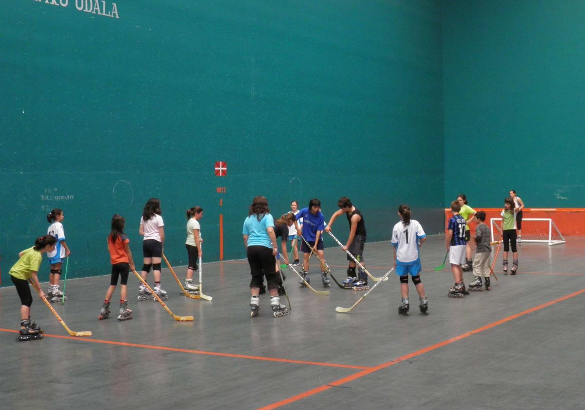 La Diputación impuso 47 sanciones entre 2022 y 2024 por infringir la normativa del Multikirola