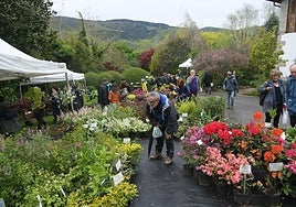 Zaletuek ez dute huts egiten Iturrarango landare azokara.