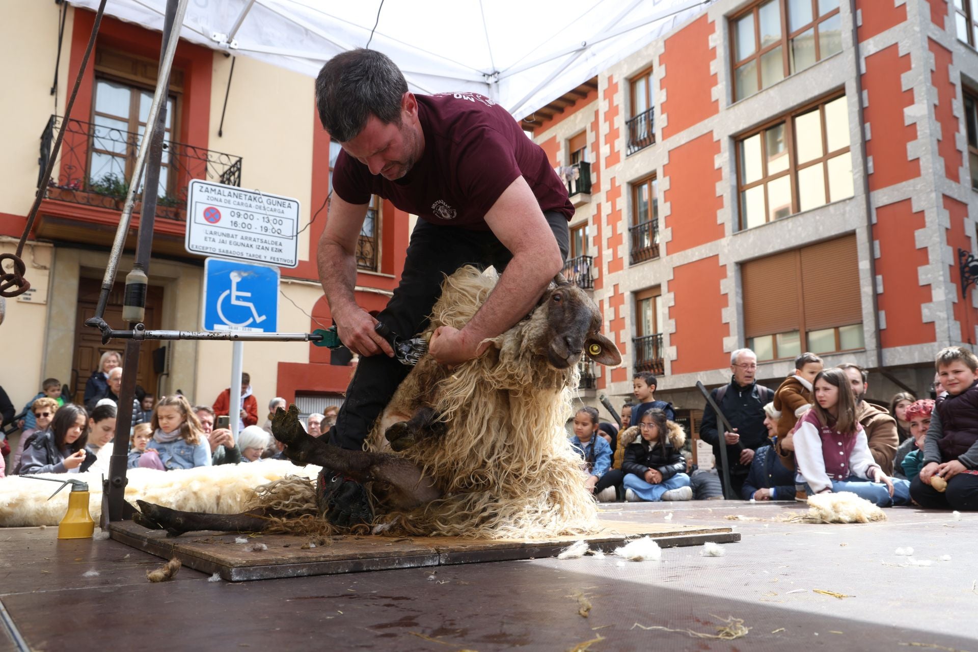 Multitudinario y festivo Artzain Eguna