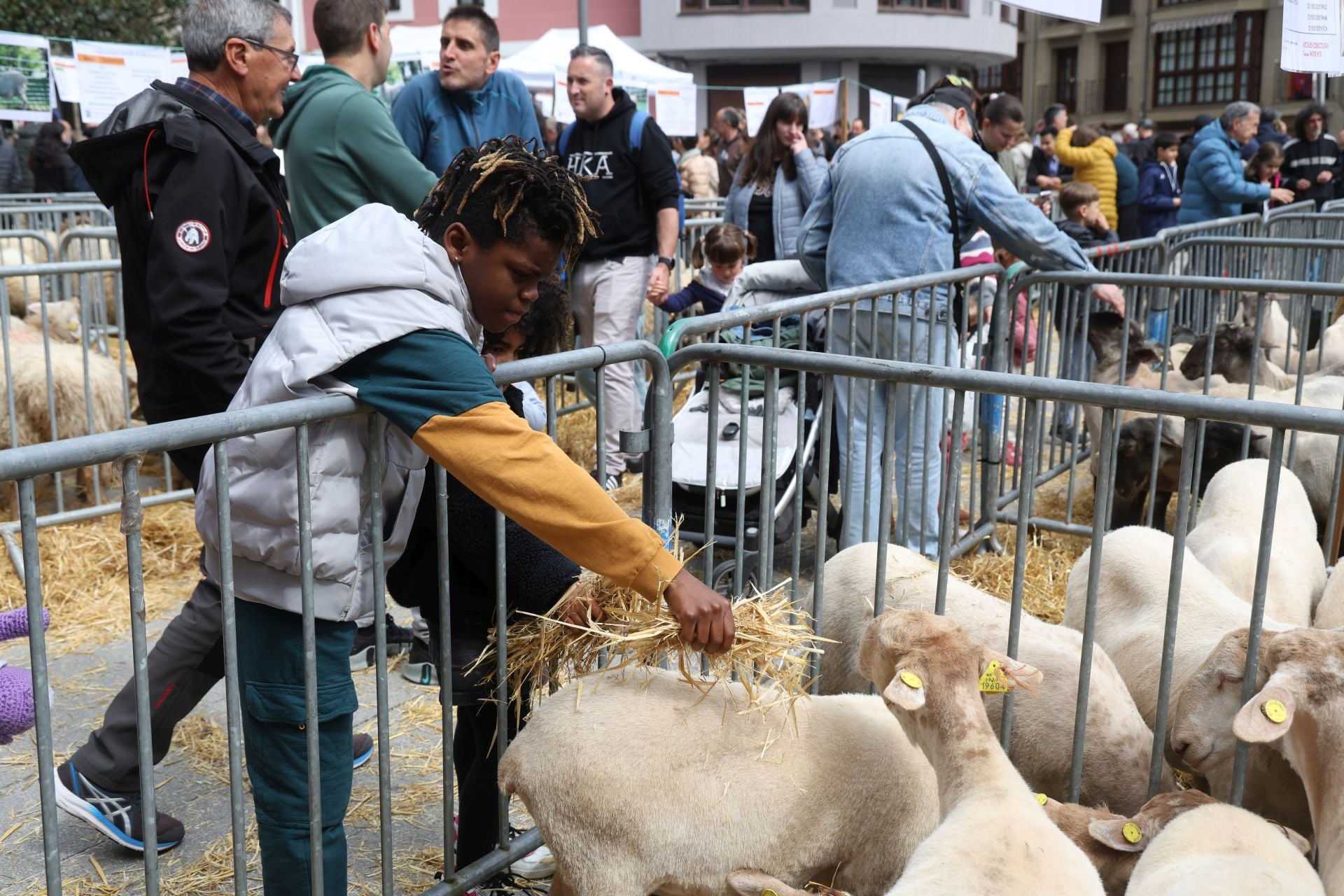 Multitudinario y festivo Artzain Eguna