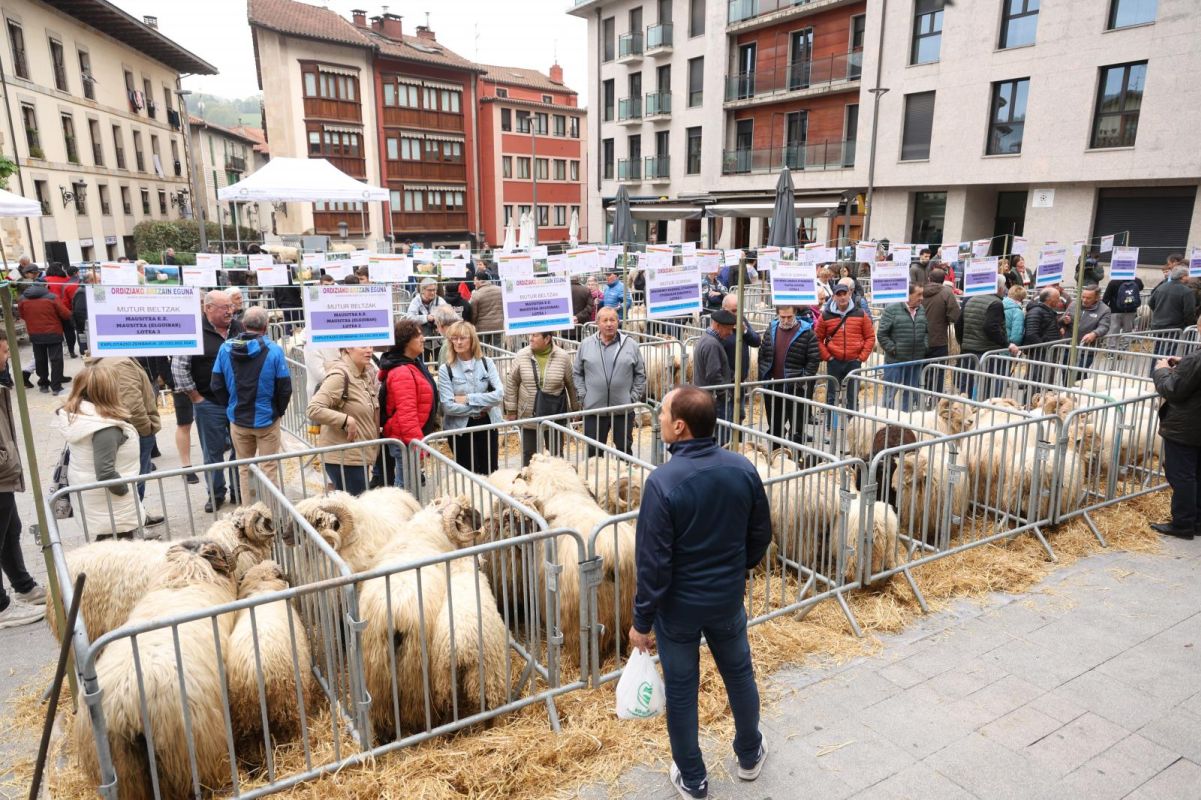Multitudinario y festivo Artzain Eguna