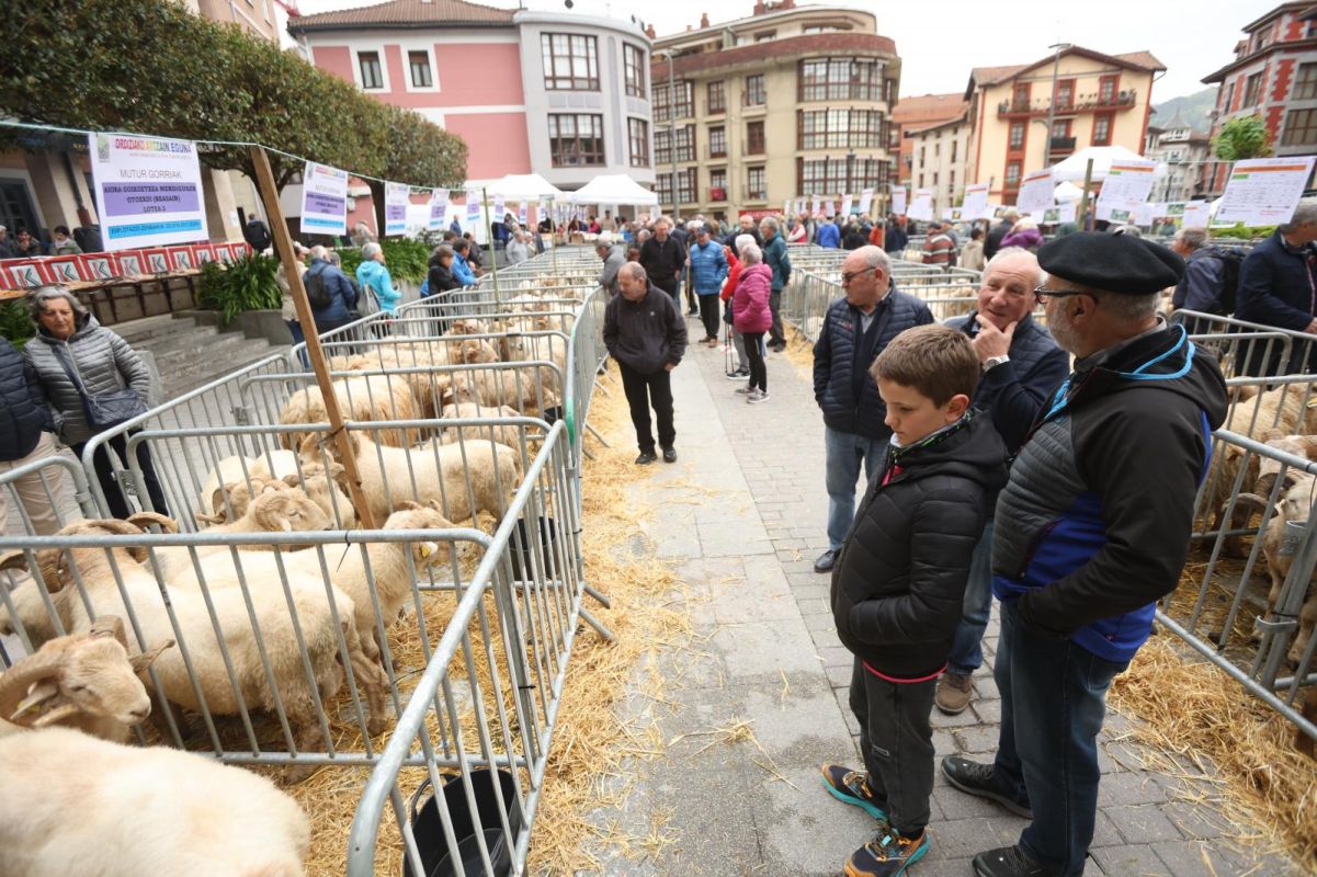 Multitudinario y festivo Artzain Eguna