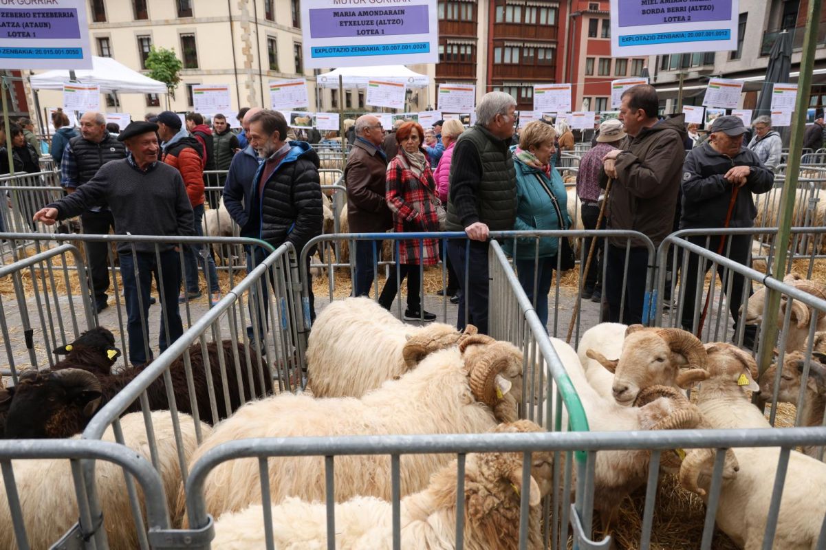 Multitudinario y festivo Artzain Eguna