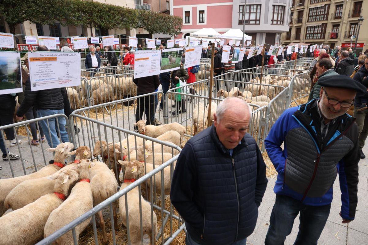 Multitudinario y festivo Artzain Eguna