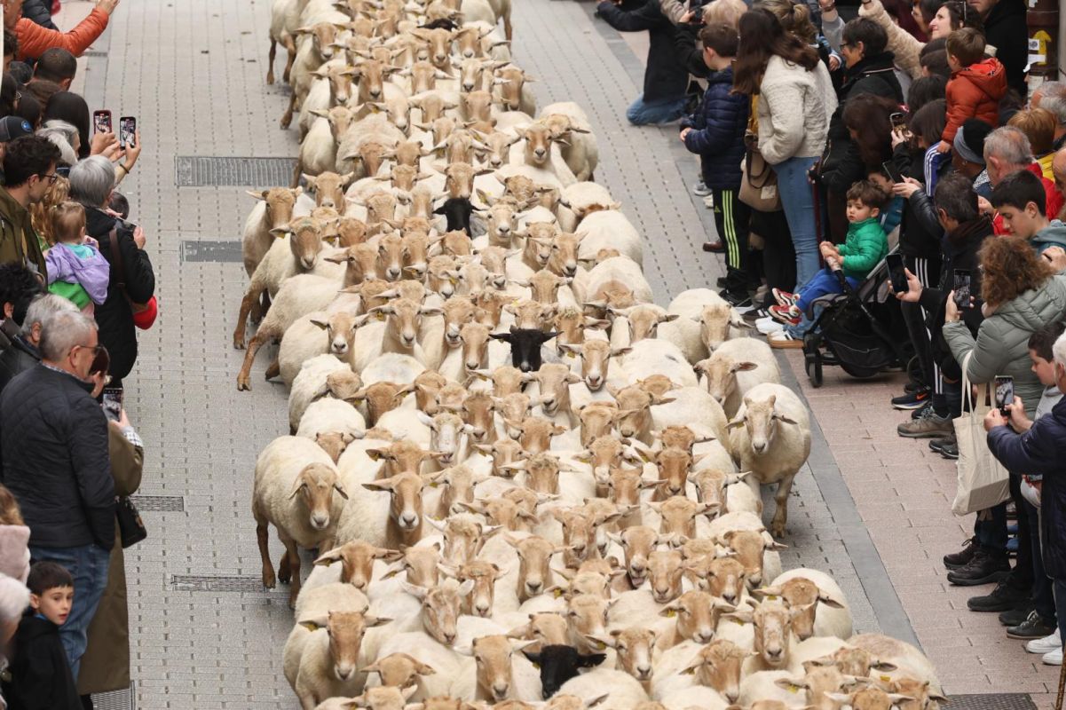 Multitudinario y festivo Artzain Eguna