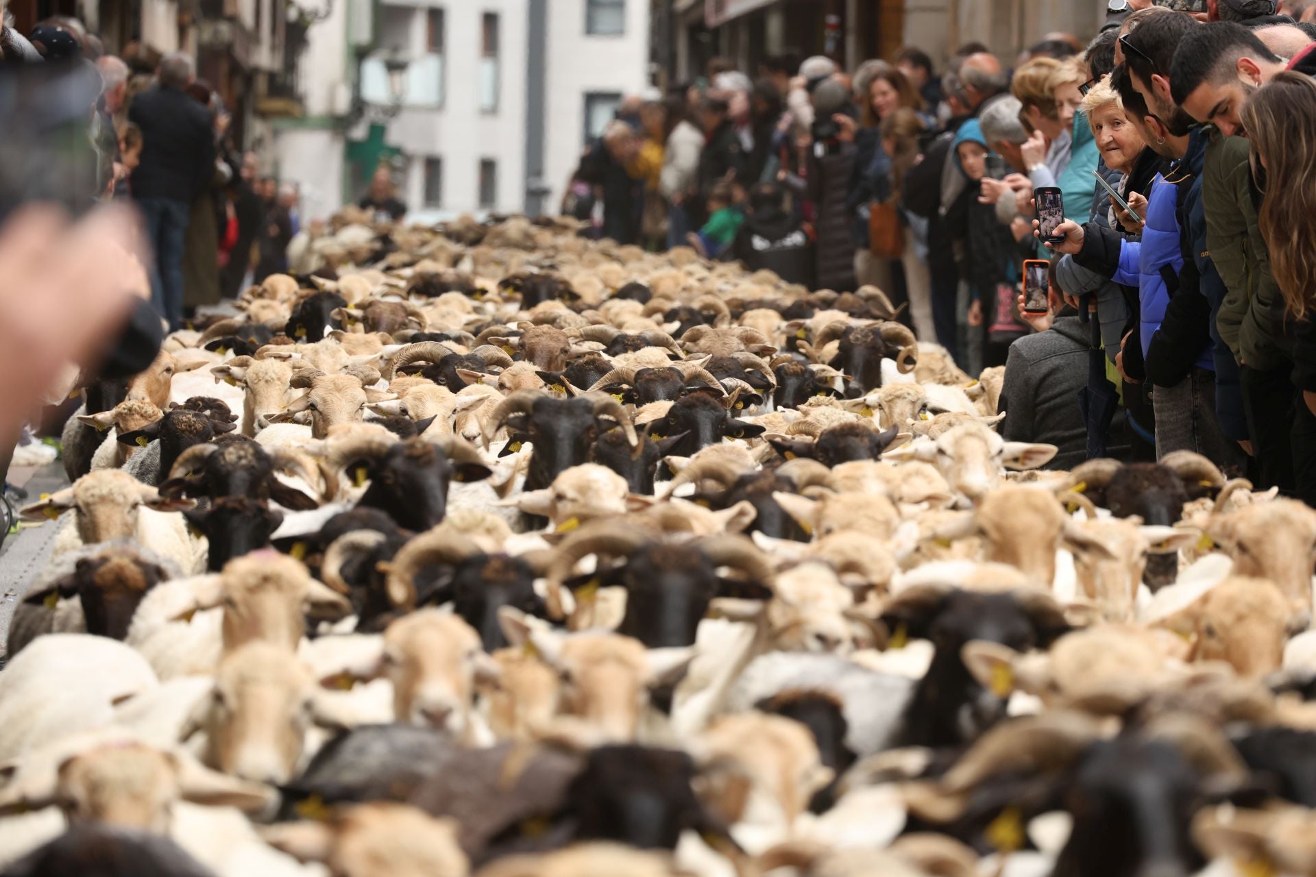Multitudinario y festivo Artzain Eguna