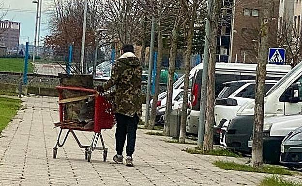 Un ladrón de metal avanza por una calle de Salburua a plena luz del día.