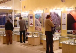 Los visitantes contemplan la exposición permanente.