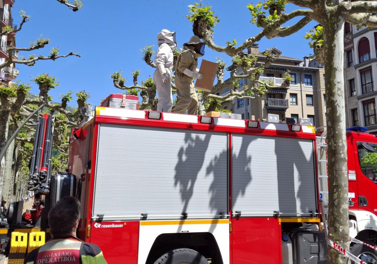 Imagen principal - La retirada de las abejas se ha realizado con cuidado, buscando capturar a la reina en la caja de colmena.
