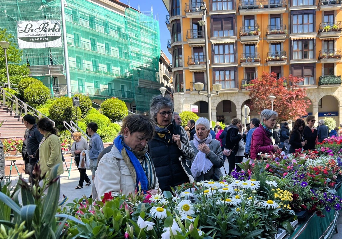 Urretxu, embajadora de plantas y flores por primavera