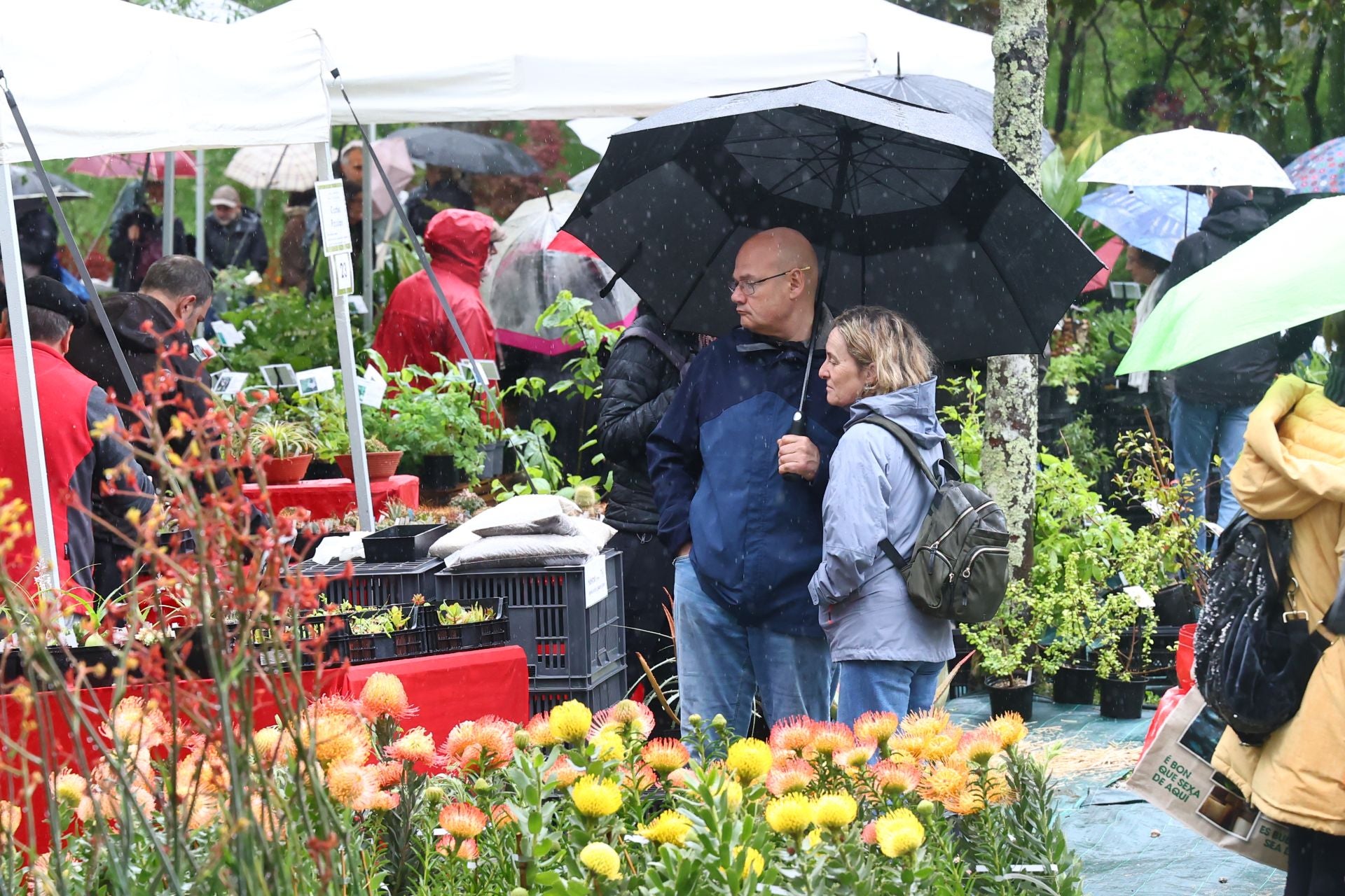 Las flores resaltan sobre los paraguas en la Feria de Plantas de Aia