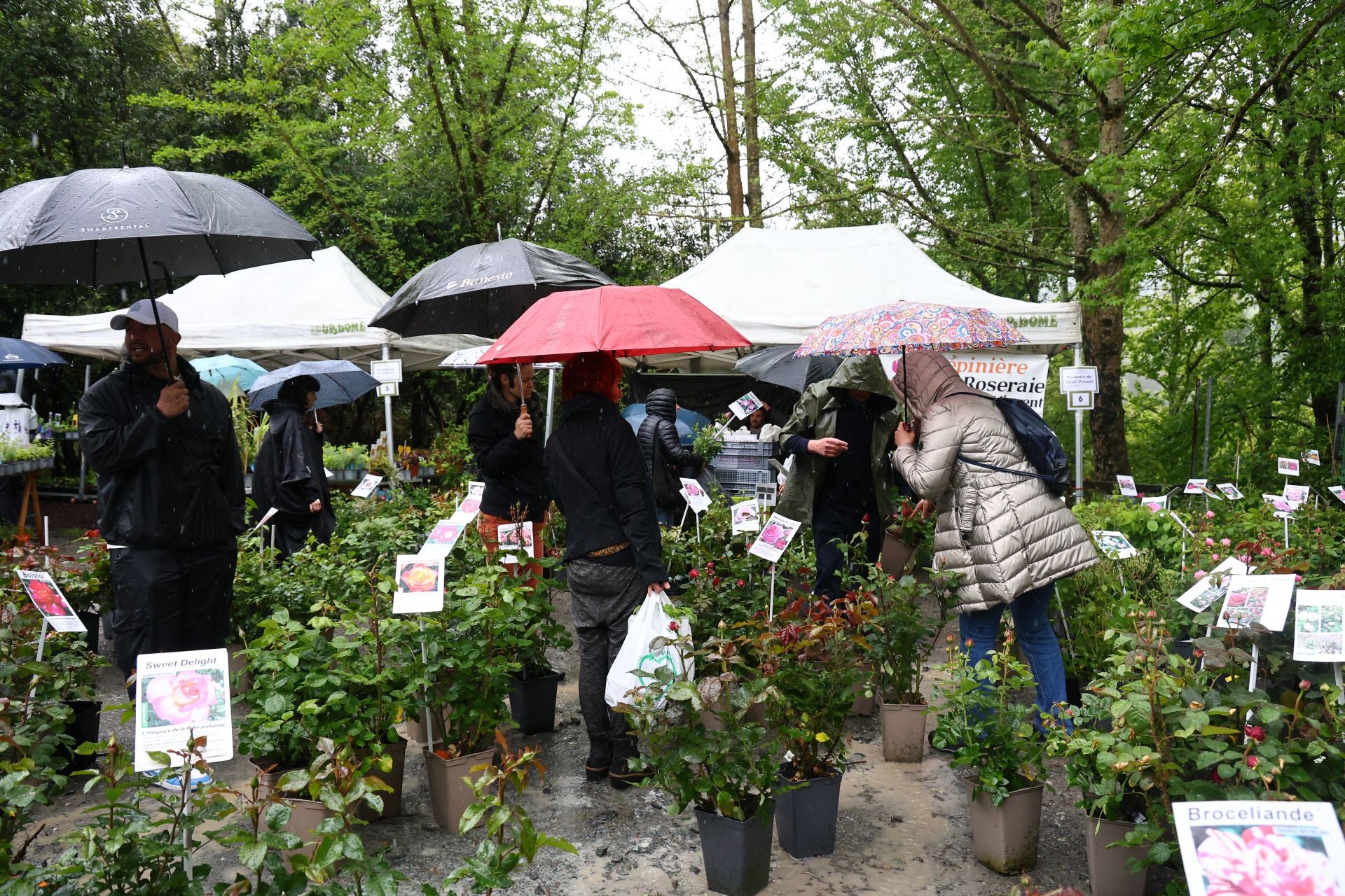 Las flores resaltan sobre los paraguas en la Feria de Plantas de Aia