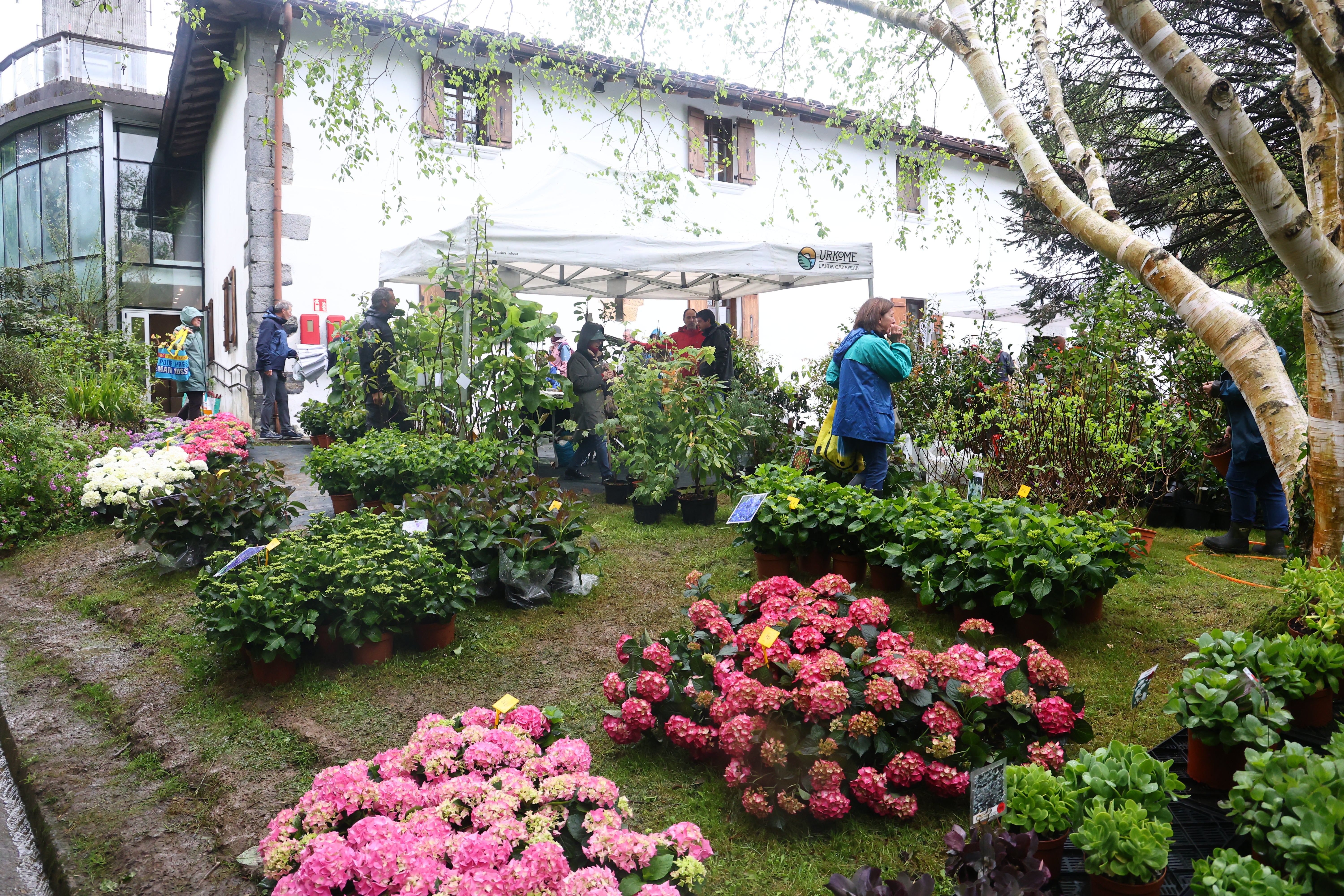 Las flores resaltan sobre los paraguas en la Feria de Plantas de Aia