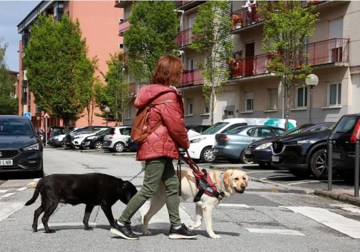 Las personas ciegas reclaman que sus perros guía puedan acceder a todos los bares y restaurantes
