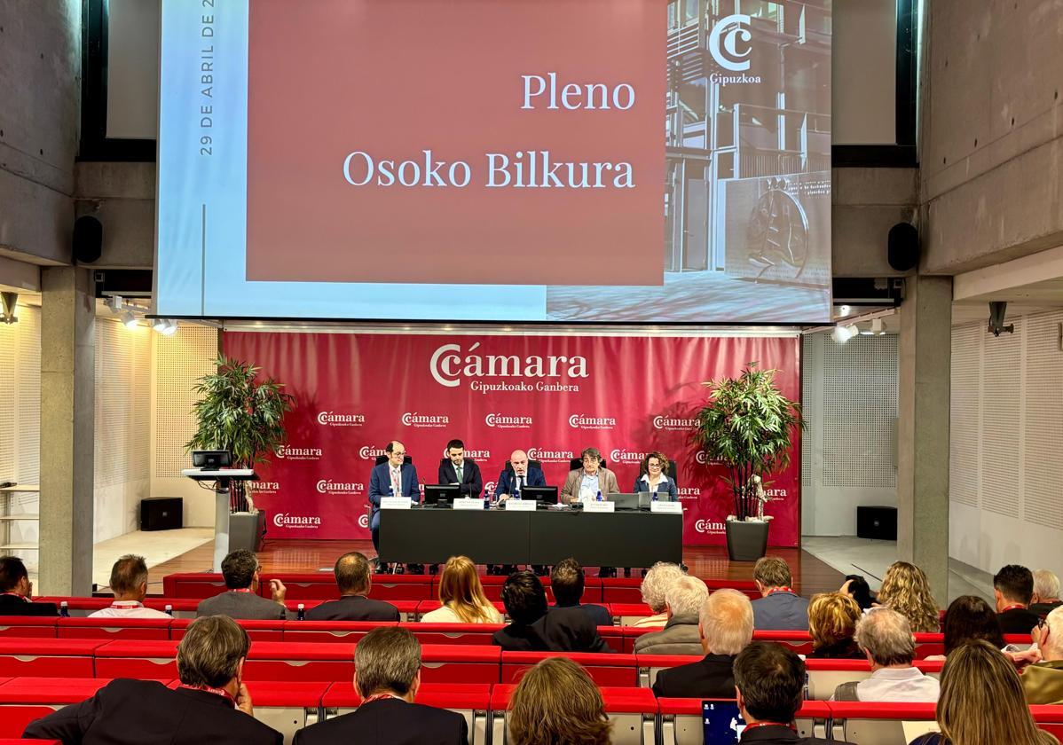 El Pleno de la Cámara de Gipuzkoa defiende la conexión del TAV por Ezkio por ser más rápida
