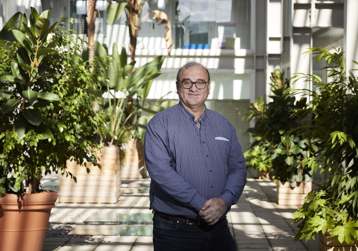 «El problema ha sido meter renovables de manera descontrolada, tipo low cost»