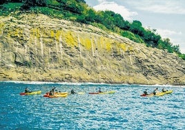 Verano activo en RCTSS: deporte y diversión para todas las edades