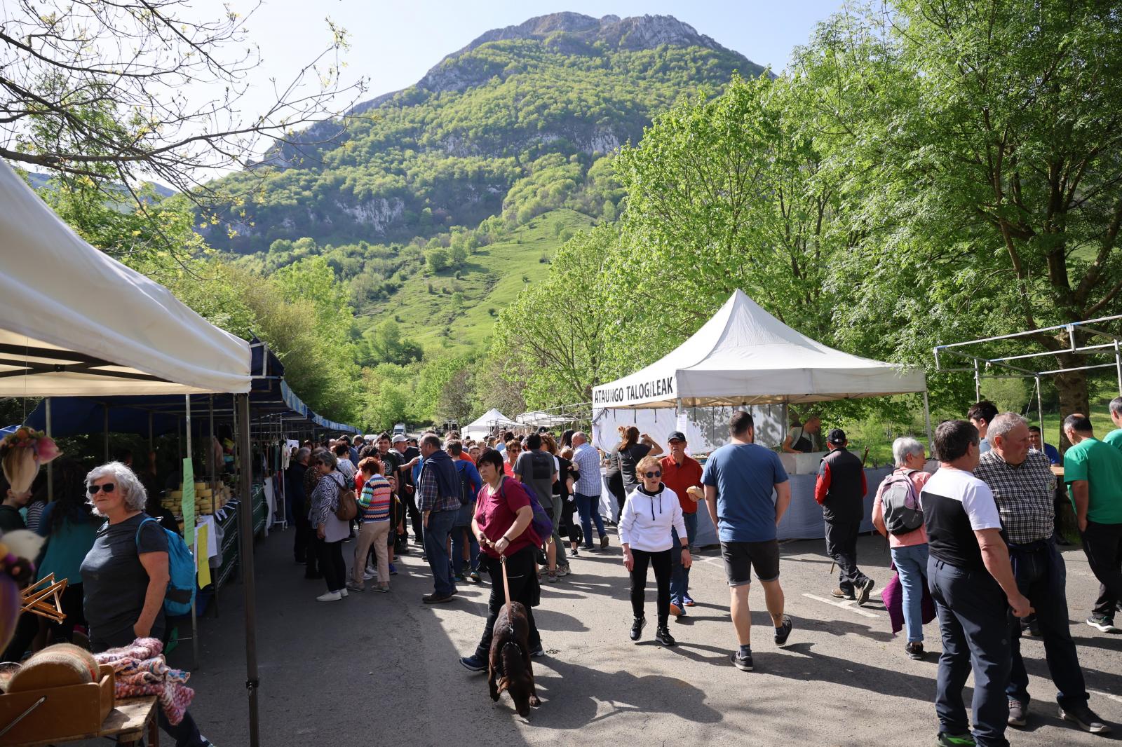 Apertura de los pastos de Aralar