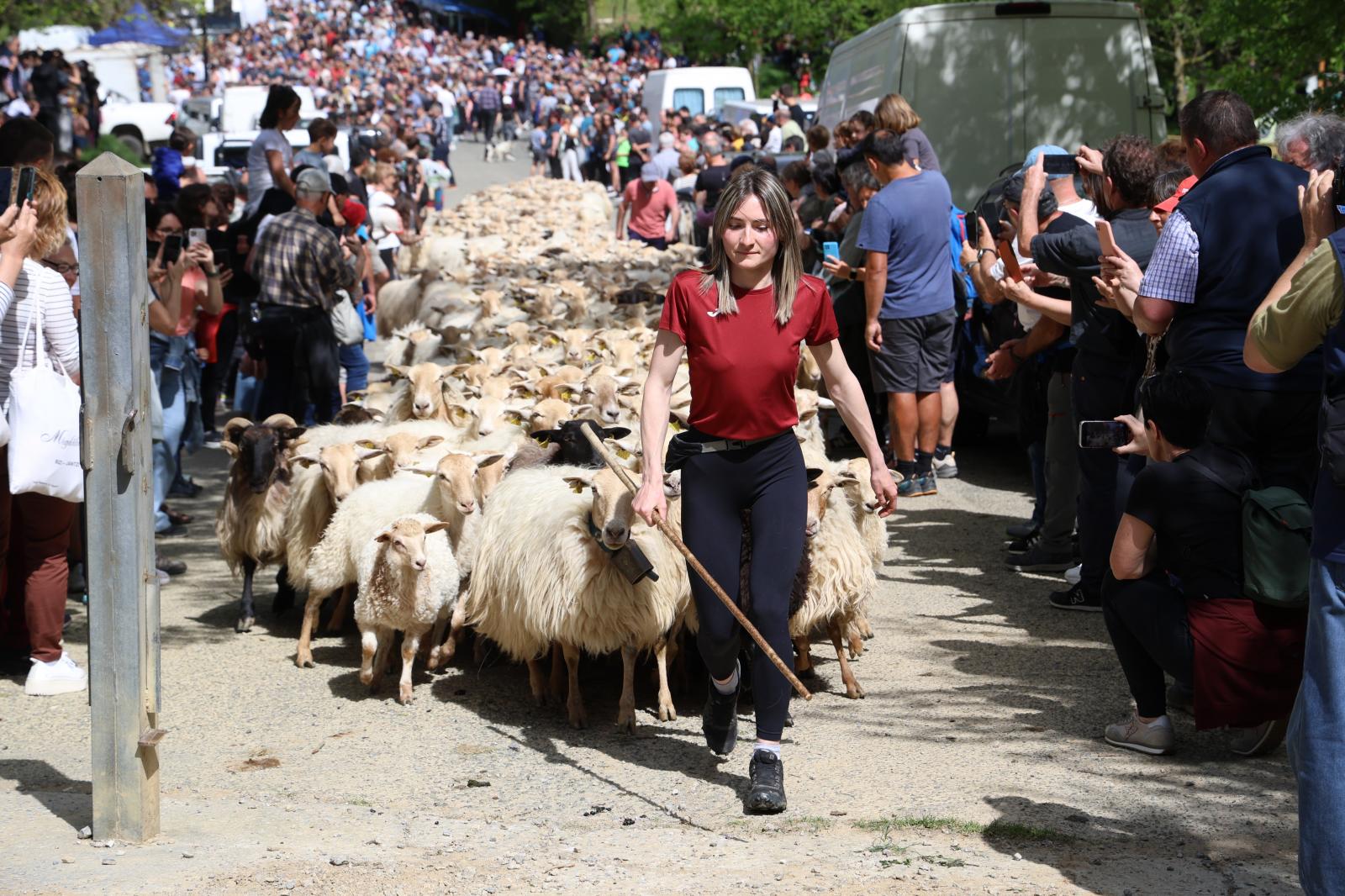 Apertura de los pastos de Aralar