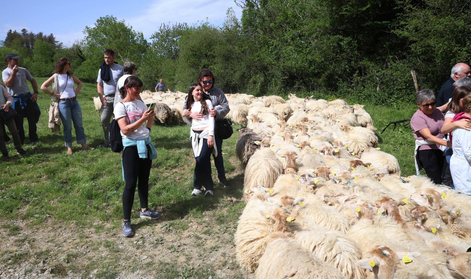 Apertura de los pastos de Aralar