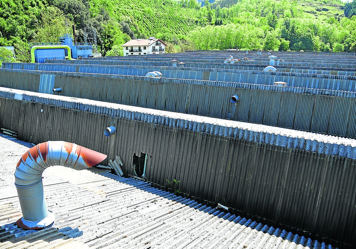 Imagen principal - Agujero abierto en el tejado para acceder a las instalaciones. Uno de los ladrones captado por las cámaras de seguridad en el cuadro de mandos de la empresa, y los cables cortados en esa zona tras la incursión.