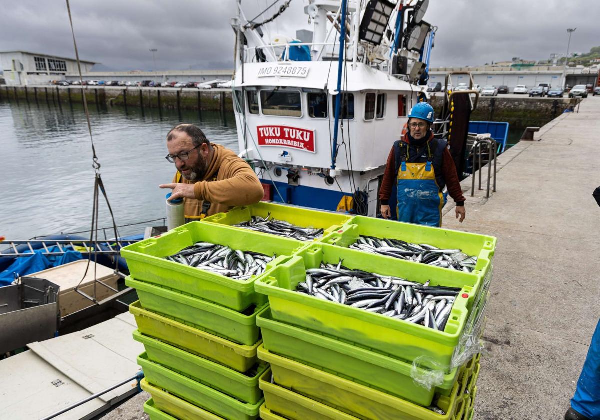La flota vasca agota el 73% de su cuota de verdel y avanza en la costera de anchoa con un 30% capturado