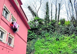 Los propietarios del bloque de la avenida José Elósegui número 121, «por activa y por pasiva», indican, han informado al Ayuntamiento «que desde hace mucho tiempo es necesaria la tala de estos árboles torcidos que se ven en la fotografía. Pero no hemos obtenido respuesta. Como esos árboles se caigan, pueden hacerlo sobre la entrada del portal o sobre alguna persona».