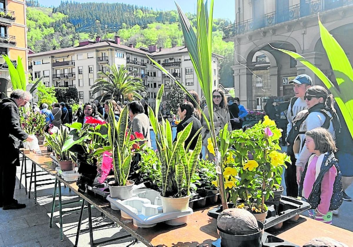 La feria de plantas y flores regresa este domingo con una amplia propuesta