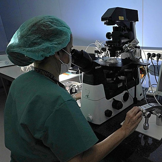 Medio millar de guipuzcoanas inician al año un tratamiento de reproducción asistida en Osakidetza