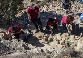 Un grupo de investigadores trabajando en una excavación en Teruel.