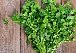 Descubrimos las diferencias entre el perejil y el cilantro.