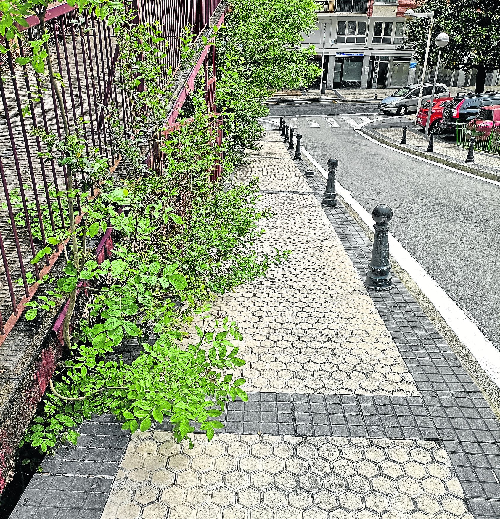 Sirimiri: «¿Cómo pasamos por aquí con una silla de ruedas?»