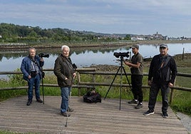Román Díaz, Josetxo Esparcia, David Santamaría y Joserra Sánchez se preparan para hacer 'birding'.