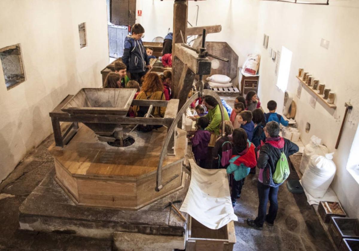 De cara al fin de semana se podrá visitar el Molino y habrá charlas y talleres.