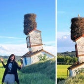El enorme nido de cigüeñas que se ha convertido en una atracción turística: «Es la Torre de Pisa castellana»