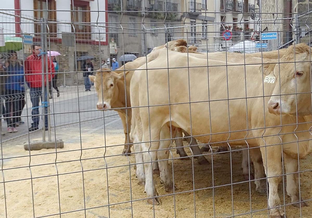 Todo listo para celebrar desde esta noche la feria de San Isidro.
