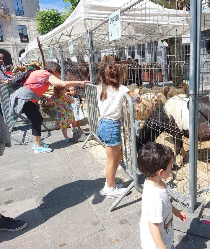 Imagen secundaria 2 - También hubo animales presentes en la feria.